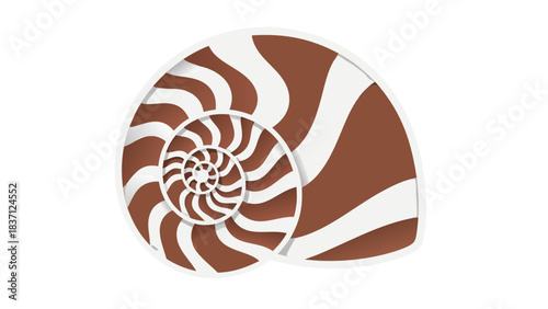 Detailed Cross Section of a Nautilus Shell Featuring a Golden Ratio Spiral Pattern in Brown and White Against a Black Background