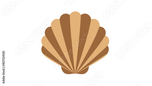 Detailed Illustration of a Stylized Seashell With Alternating Light and Dark Brown Rays Against a Solid Black Background Emphasizing a Simple and Clean Design