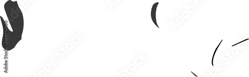 Large Line Art Vector Set of Black and White Holstein Cows in Various Poses and a Head Profile, Ideal for Educational Materials, Veterinary, and Agriculture Outlines.