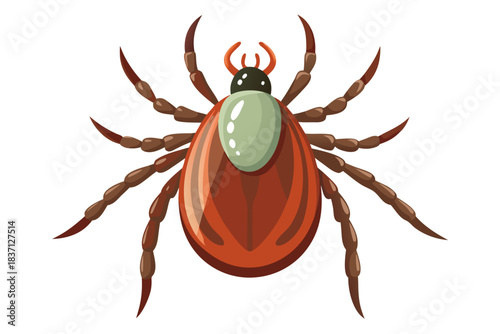 High-quality illustration of a tick insect with realistic detail and color. This vector graphic shows the tick’s body structure, legs, and texture, perfect for educational, scientific, and medical pur