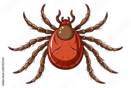 High-quality illustration of a tick insect with realistic detail and color. This vector graphic shows the tick’s body structure, legs, and texture, perfect for educational, scientific, and medical pur