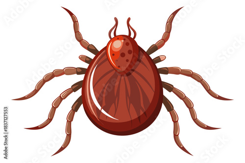 High-quality illustration of a tick insect with realistic detail and color. This vector graphic shows the tick’s body structure, legs, and texture, perfect for educational, scientific, and medical pur