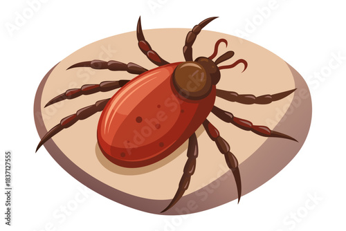 High-quality illustration of a tick insect with realistic detail and color. This vector graphic shows the tick’s body structure, legs, and texture, perfect for educational, scientific, and medical pur