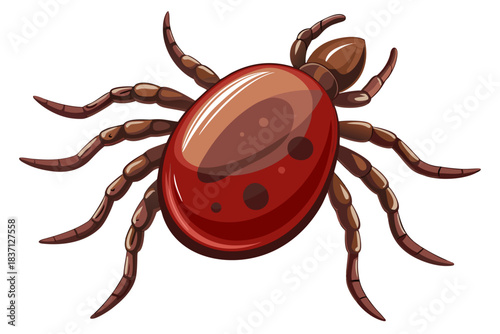 High-quality illustration of a tick insect with realistic detail and color. This vector graphic shows the tick’s body structure, legs, and texture, perfect for educational, scientific, and medical pur