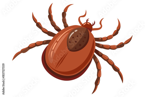 High-quality illustration of a tick insect with realistic detail and color. This vector graphic shows the tick’s body structure, legs, and texture, perfect for educational, scientific, and medical pur