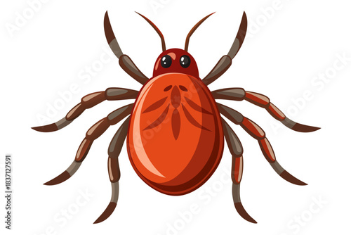 High-quality illustration of a tick insect with realistic detail and color. This vector graphic shows the tick’s body structure, legs, and texture, perfect for educational, scientific, and medical pur