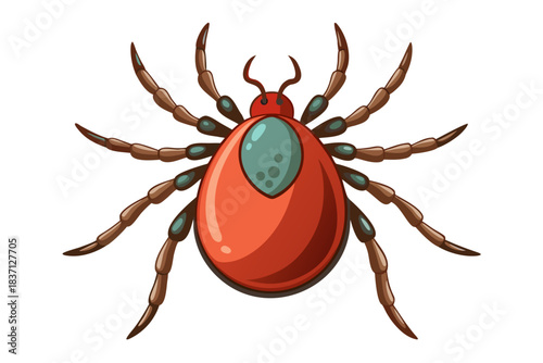 High-quality illustration of a tick insect with realistic detail and color. This vector graphic shows the tick’s body structure, legs, and texture, perfect for educational, scientific, and medical pur