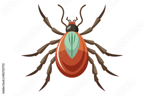 High-quality illustration of a tick insect with realistic detail and color. This vector graphic shows the tick’s body structure, legs, and texture, perfect for educational, scientific, and medical pur