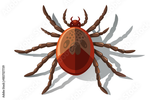 High-quality illustration of a tick insect with realistic detail and color. This vector graphic shows the tick’s body structure, legs, and texture, perfect for educational, scientific, and medical pur