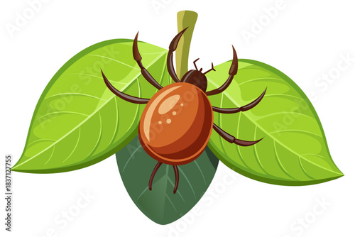 High-quality illustration of a tick insect with realistic detail and color. This vector graphic shows the tick’s body structure, legs, and texture, perfect for educational, scientific, and medical pur