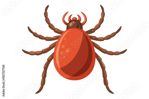 High-quality illustration of a tick insect with realistic detail and color. This vector graphic shows the tick’s body structure, legs, and texture, perfect for educational, scientific, and medical pur