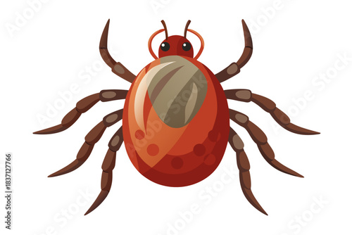 High-quality illustration of a tick insect with realistic detail and color. This vector graphic shows the tick’s body structure, legs, and texture, perfect for educational, scientific, and medical pur