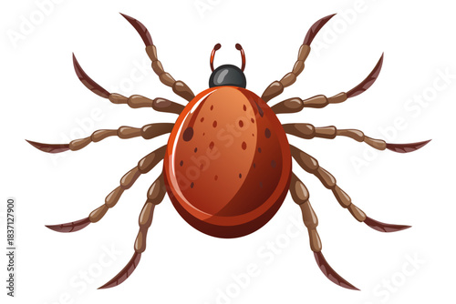 High-quality illustration of a tick insect with realistic detail and color. This vector graphic shows the tick’s body structure, legs, and texture, perfect for educational, scientific, and medical pur