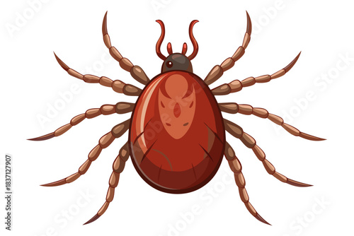 High-quality illustration of a tick insect with realistic detail and color. This vector graphic shows the tick’s body structure, legs, and texture, perfect for educational, scientific, and medical pur
