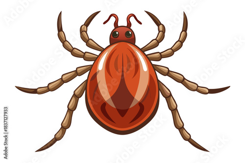 High-quality illustration of a tick insect with realistic detail and color. This vector graphic shows the tick’s body structure, legs, and texture, perfect for educational, scientific, and medical pur