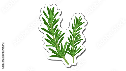 Fresh Green Rosemary Sprigs Against A White Outline On A Black Background Representing A Kitchen Herb Or Ingredient For Cooking And Seasoning