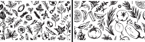 botanical leaf clipart, floral foliage illustration, hand drawn leaves art, plant branch sketches, nature botanical elements, black white leaf clipart, printable foliage designs, greenery illustration