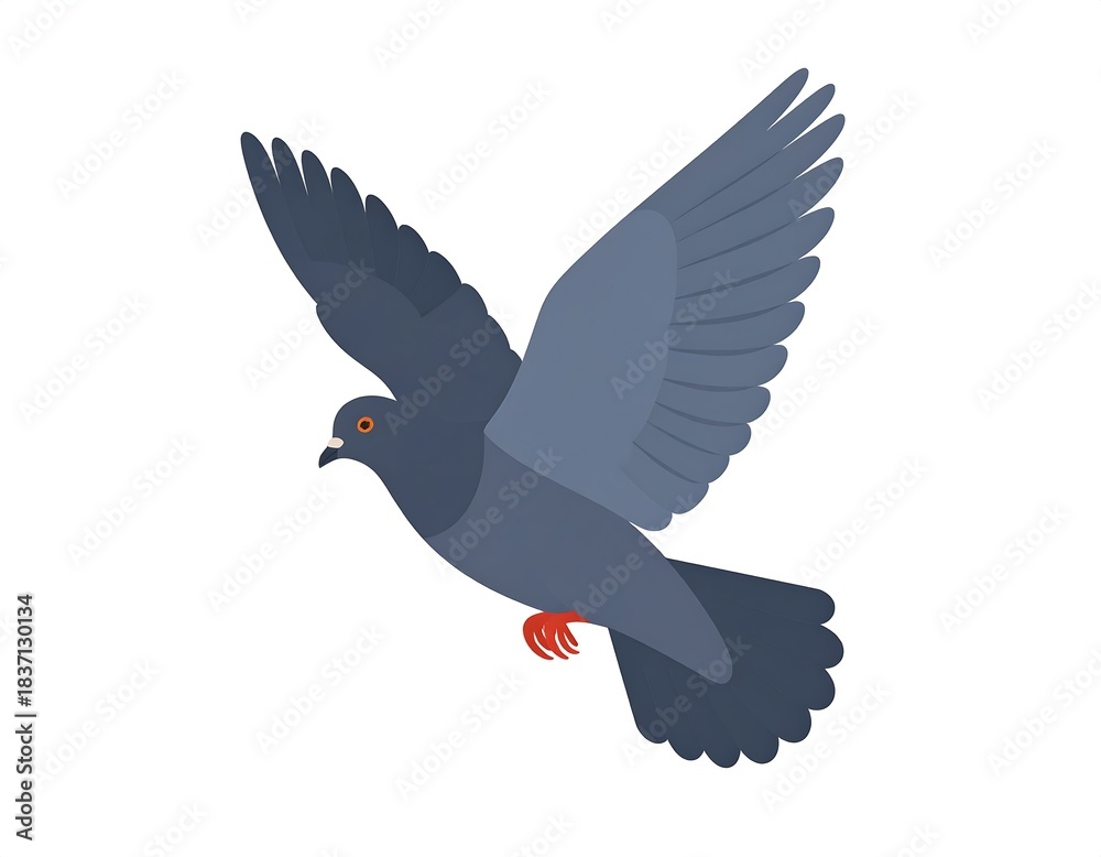Fototapeta premium Simplified illustration of a pigeon in flight against a clean white background