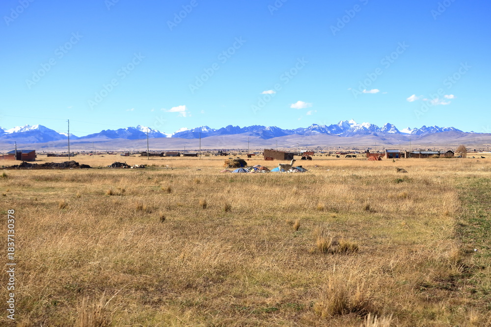 Obraz premium landscape in the north of Bolivia with the Cordilleras in the background