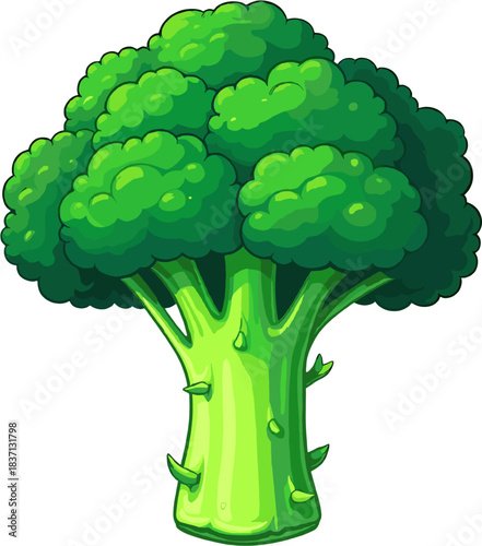 Vibrant fresh broccoli illustration featuring lush green florets and a thick stalk, designed in a clean vector style ideal for healthy food graphics, cooking projects, nutrition visuals and organic pr