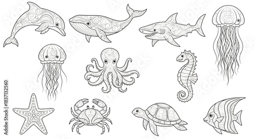 Collection of hand-drawn marine animals and sea creatures in a simple line art style.