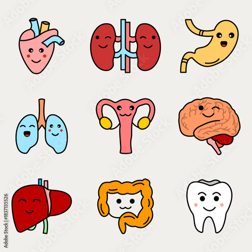 Set of color line illustrations of human organs emoji on Cloud Dancer Pantone color background.