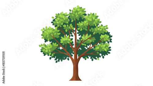 Illustration Of A Lush Green Tree With A Brown Trunk And A Full Canopy Of Leaves Against A Transparent Background