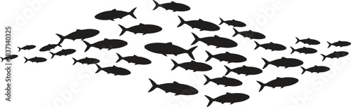 Group of Swimming Fish Vector