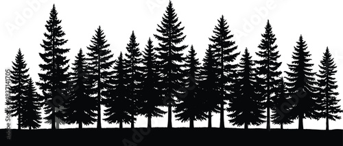 Silhouette of pine forest, conifer trees, black landscape, white background, nature art, minimal design, wilderness, outdoor scene, tree line