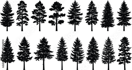 Vector Coniferous Tree Silhouette Set, Minimalist Forest Landscape Design Elements, Collection of Pine, Spruce, and Fir Evergreen Nature Illustrations, Isolated Black Graphics, Modern Template.