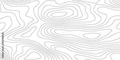 Abstract Terrain Flow Lines. Minimal Contour Map Vector Design.