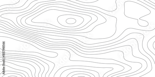 Abstract Terrain Flow Lines. Minimal Contour Map Vector Design.