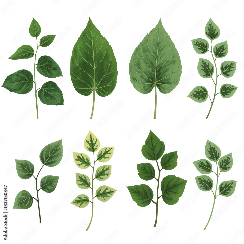 Fototapeta premium Botanical elegance: Assortment of verdant leaves on a contrasting dark backdrop, showcasing