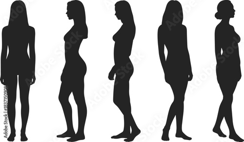 Mysterious foggy forest landscape, sunlight streaming through trees, tranquil nature scene, beautiful peaceful atmosphere, exploring the deep woods.b