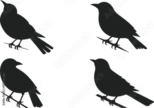 Hands holding a red heart shape, symbolizing health, love, and medical care, life insurance and cardiology concept background.