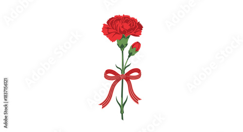 A beautiful red carnation flower with a bud and green stem is elegantly tied with a red striped ribbon, symbolizing love and appreciation.