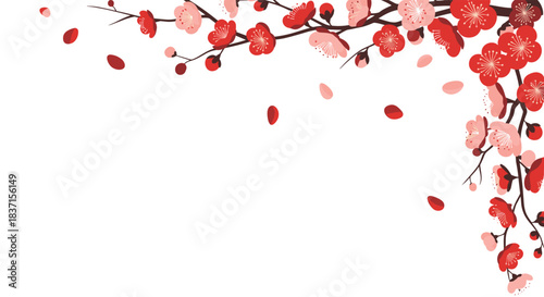 Elegant red and pink plum blossoms with scattered petals on branches, creating a beautiful floral border against a clean white background.
