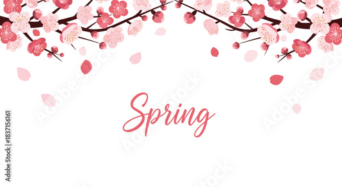 Pink cherry blossom branches with falling petals frame a light background featuring the word 'Spring' in elegant script.
