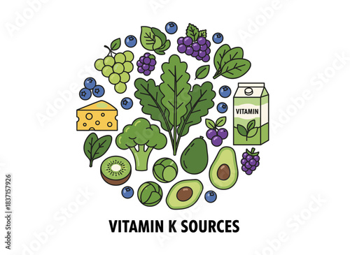 Illustration of various vitamin K-rich foods, including fruits, leafy greens, and berries, presented as a flat vector cartoon on a white background, highlighting dietetic and natural organic
