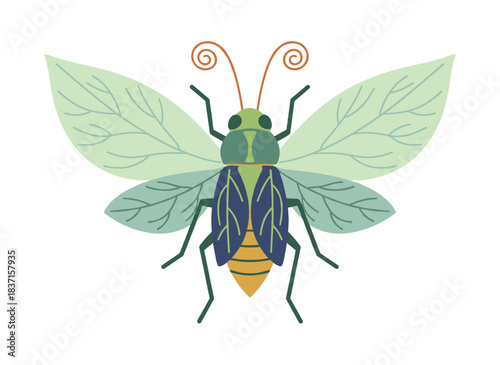 A stunning imaginary beetle, a fanciful bug species, a delicate insect with soft wings seen from above, an abstract phylliidae, rendered as a flat vector image on a white background