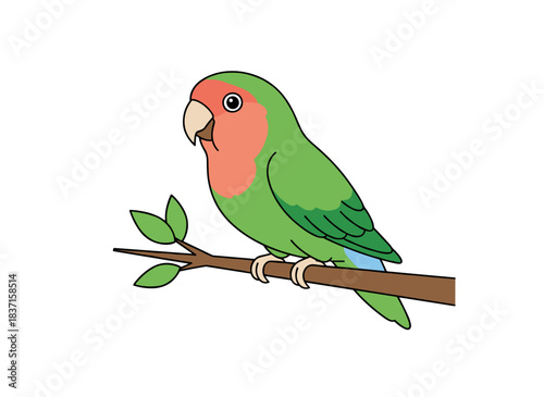 A rosy-collared, peach-faced lovebird perched on a branch, its green folded wings tucked in, rendered as a realistic flat cartoon vector on a white background