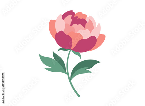 A graceful peony in full bloom, complete with stem and foliage, presented as a vivid flat vector on a white backdrop