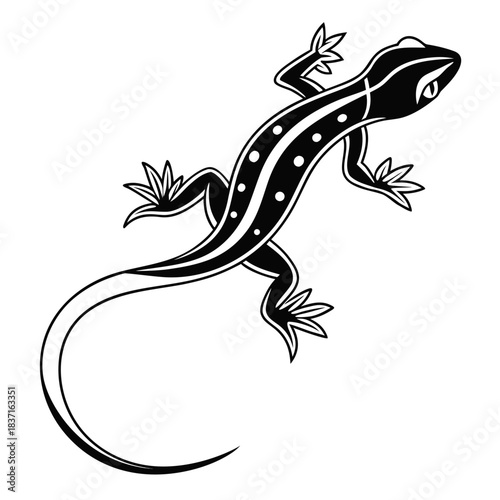 lizard on a white background