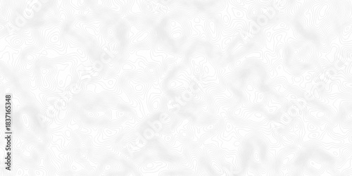 White topography topology vector white background fresh contour map texture. white seamless pattern Abstract background with a wave Topography and geography map grid abstract backdrop.