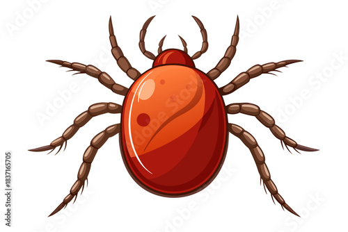 High-quality illustration of a tick insect with realistic detail and color. This vector graphic shows the tick’s body structure, legs, and texture, perfect for educational, scientific, and medical pur
