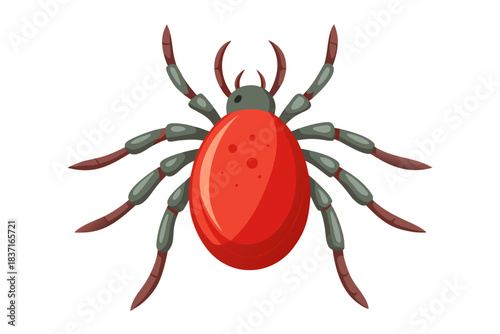 High-quality illustration of a tick insect with realistic detail and color. This vector graphic shows the tick’s body structure, legs, and texture, perfect for educational, scientific, and medical pur
