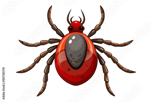 High-quality illustration of a tick insect with realistic detail and color. This vector graphic shows the tick’s body structure, legs, and texture, perfect for educational, scientific, and medical pur