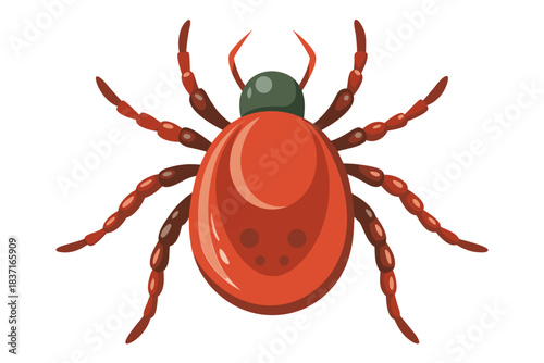 High-quality illustration of a tick insect with realistic detail and color. This vector graphic shows the tick’s body structure, legs, and texture, perfect for educational, scientific, and medical pur