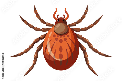 High-quality illustration of a tick insect with realistic detail and color. This vector graphic shows the tick’s body structure, legs, and texture, perfect for educational, scientific, and medical pur