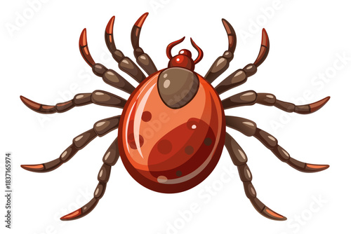 High-quality illustration of a tick insect with realistic detail and color. This vector graphic shows the tick’s body structure, legs, and texture, perfect for educational, scientific, and medical pur